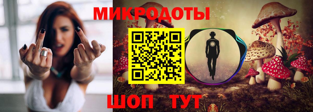 Серов  Псилоцибиновые грибы Psilocybine cubensis  Вход с VPN 